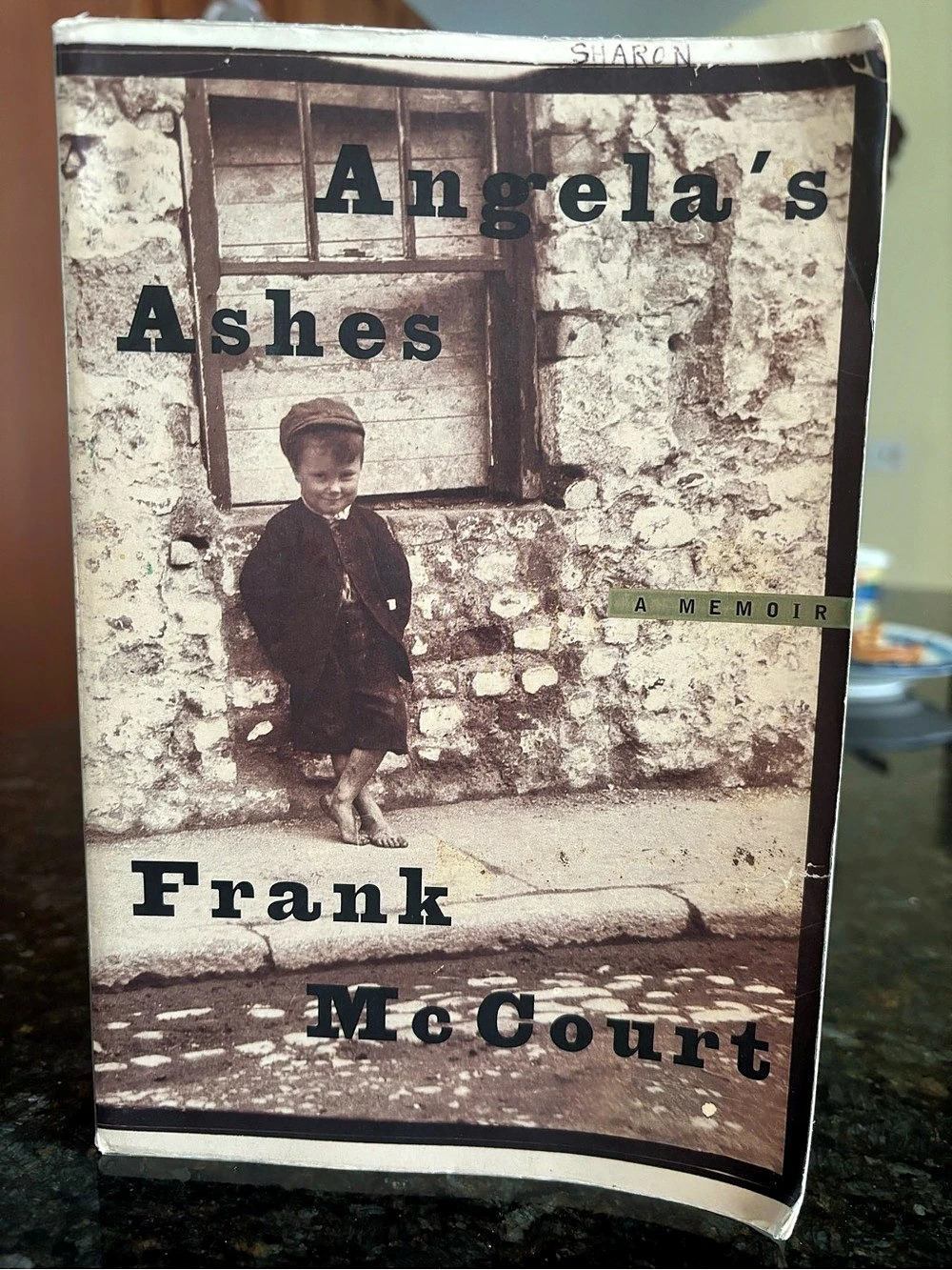 Frank McCourt Angela's Ashes Memoir Paperback